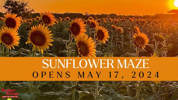 KONO Mystery Tune @ 6:30am: Win Tickets to the Sunflower Field Maze
