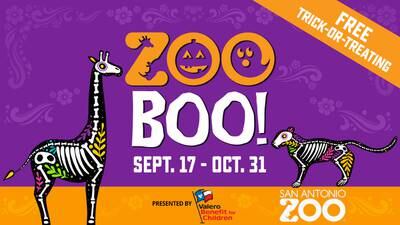 80′s KONO Double-Take @ 3:12pm: Win Tickets to the San Antonio Zoo’s Zoo Boo!
