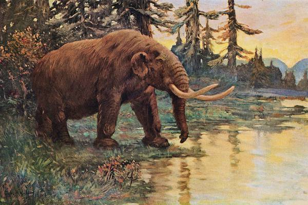Mastodon bones discovered by Michigan road crews