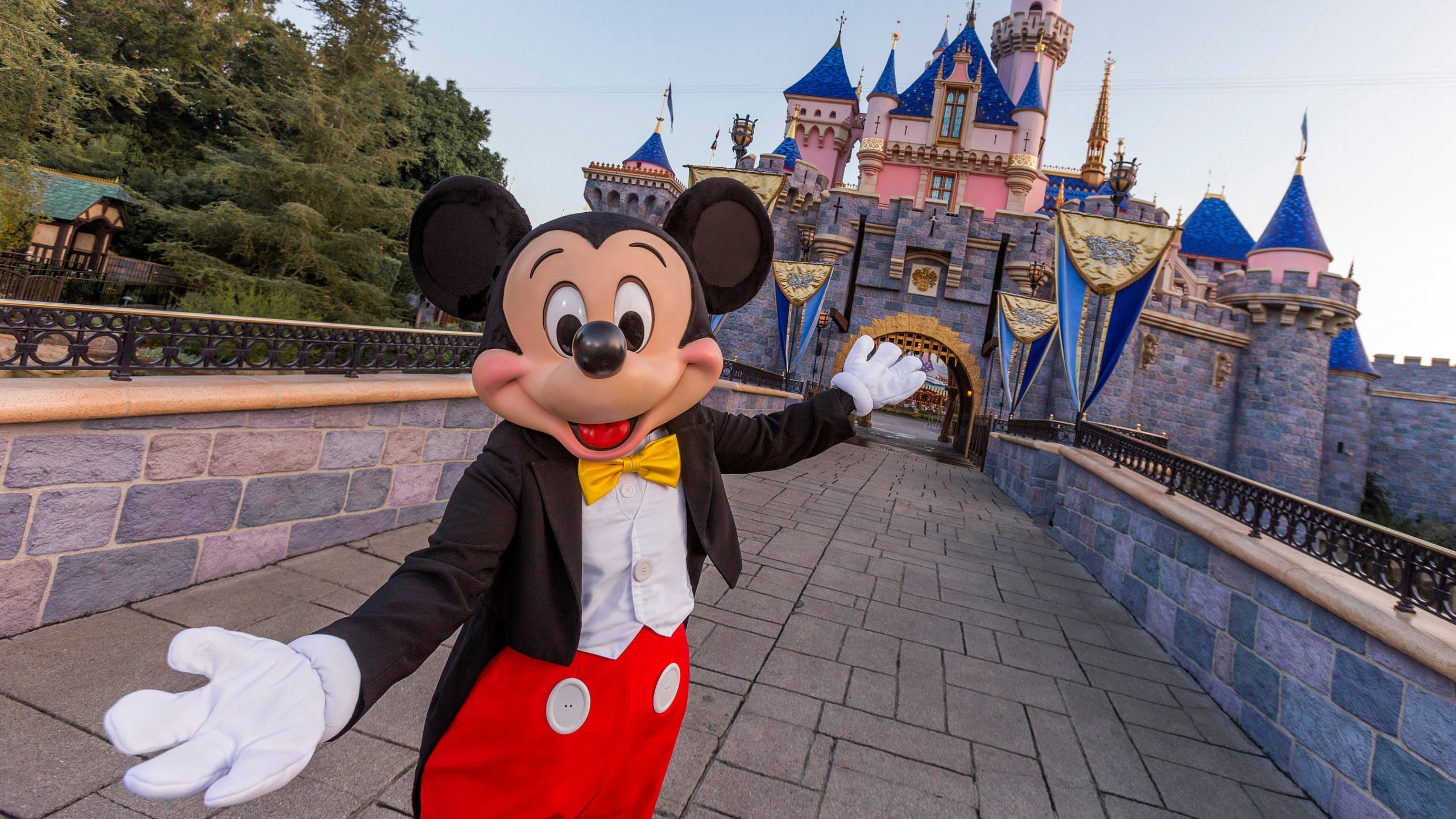 FILE PHOTO: Mickey Mouse's realm may be expanding at the Disneyland resort.